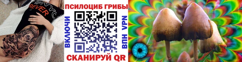 Галлюциногенные грибы MAGIC MUSHROOMS  KRAKEN сайт  Судак 